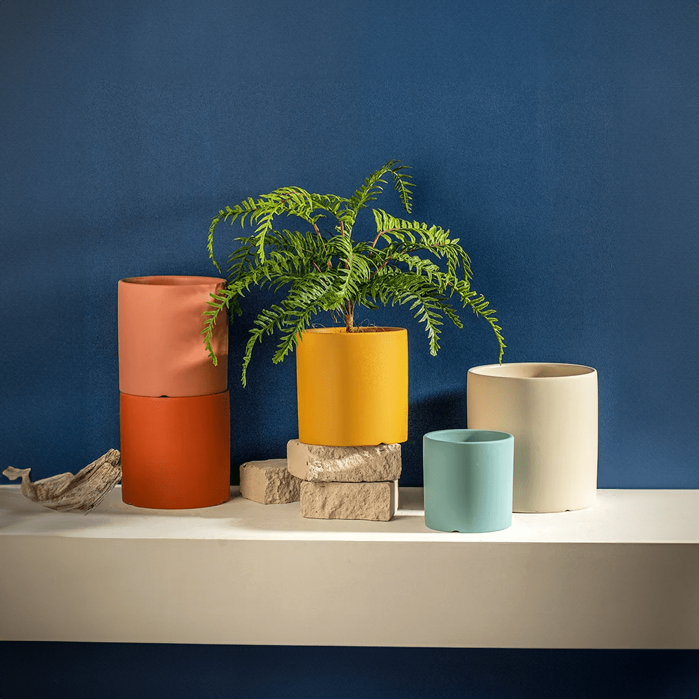 Colourful Ceramic Flower Pot - The House Of BLOC