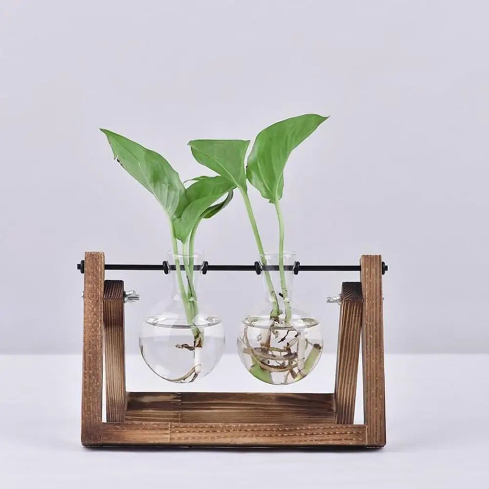 Hydroponic Glass Terrarium Tabletop Trays - The House Of BLOC