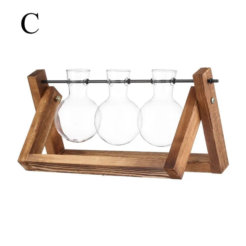 Hydroponic Glass Terrarium Tabletop Trays - The House Of BLOC