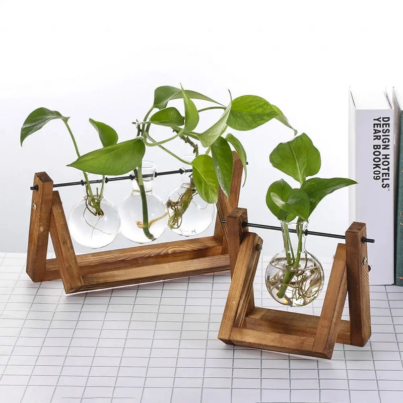 Hydroponic Glass Terrarium Tabletop Trays - The House Of BLOC