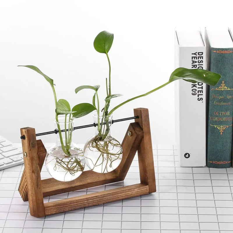 Hydroponic Glass Terrarium Tabletop Trays - The House Of BLOC