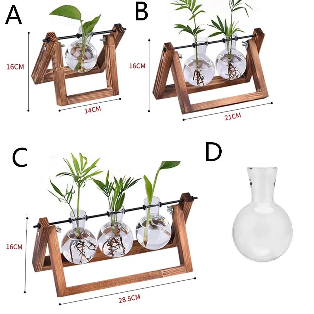 Hydroponic Glass Terrarium Tabletop Trays - The House Of BLOC