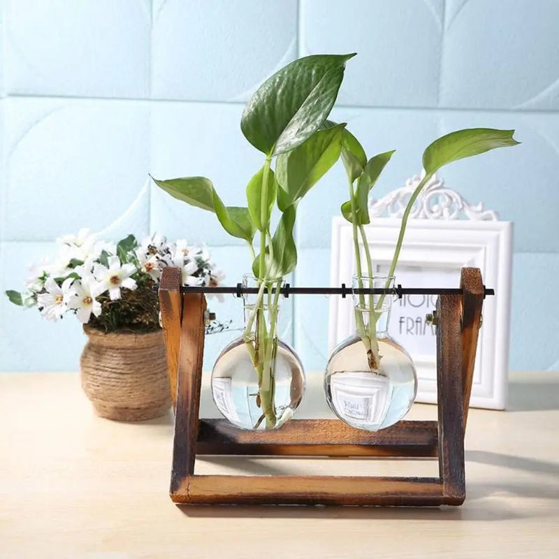 Hydroponic Glass Terrarium Tabletop Trays - The House Of BLOC