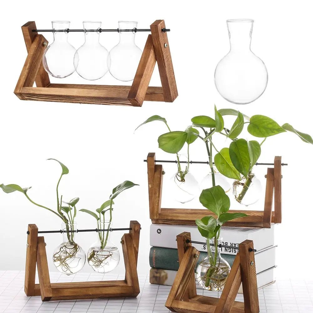 Hydroponic Glass Terrarium Tabletop Trays - The House Of BLOC