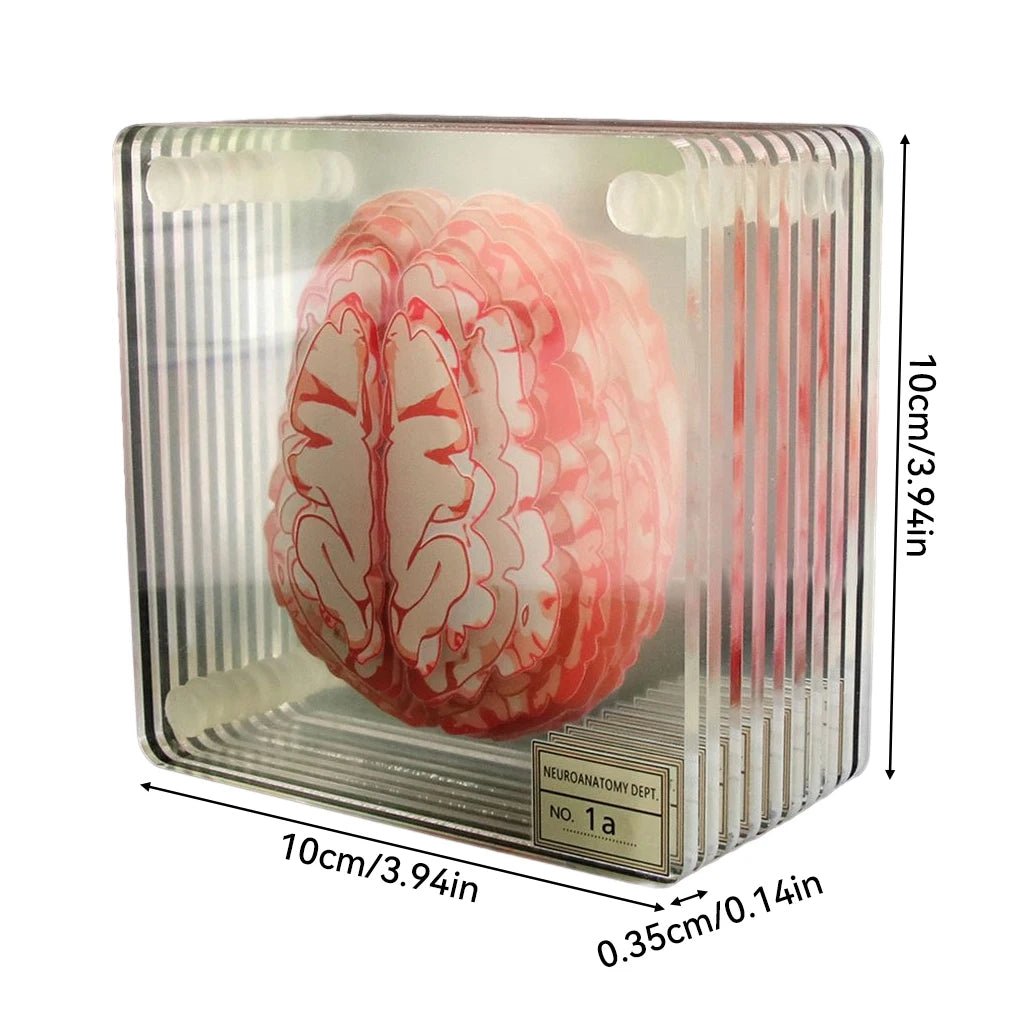 Ten Piece Brain Coaster Set - The House Of BLOC