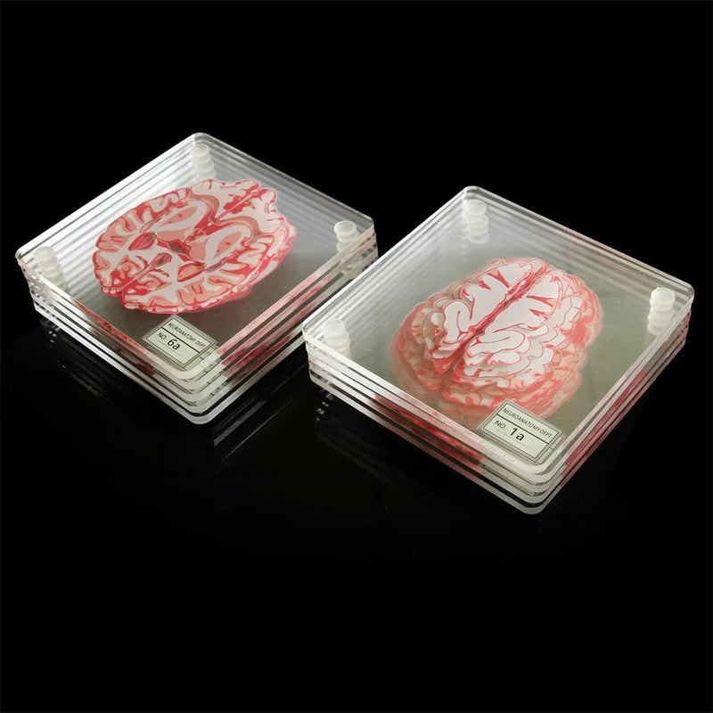 Ten Piece Brain Coaster Set - The House Of BLOC