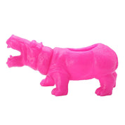 Bright & Colourful Dinosaur Succulent Plant Pot - The House Of BLOC