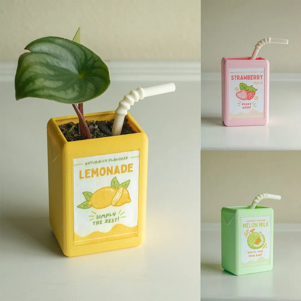 Cartoon Juice Box Shape Plant Pot - The House Of BLOC