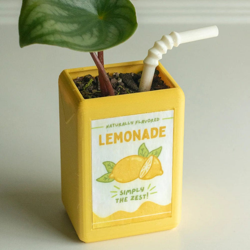 Cartoon Juice Box Shape Plant Pot - The House Of BLOC