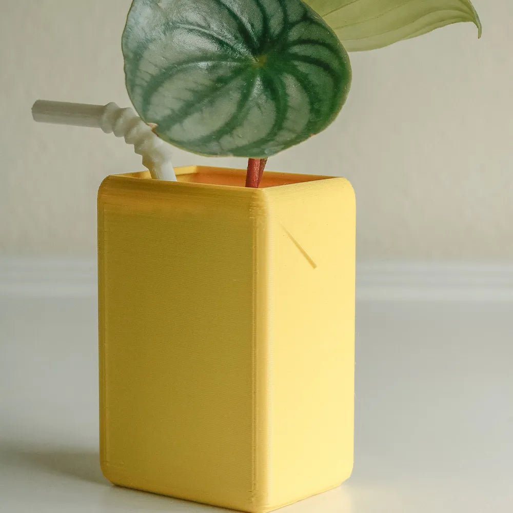 Cartoon Juice Box Shape Plant Pot - The House Of BLOC