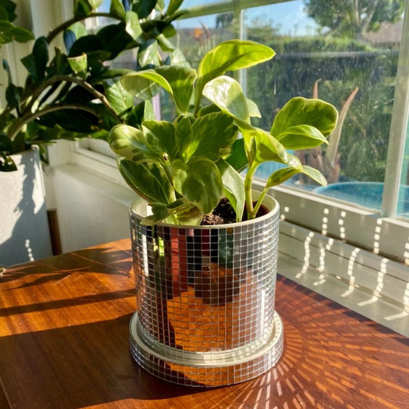 Ceramic Disco Mirror Ball Planter Pot - The House Of BLOC