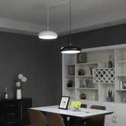 Creative Stylish Pendant Light