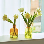 Two Piece Mini Bud Vase Terrarium Set - The House Of BLOC